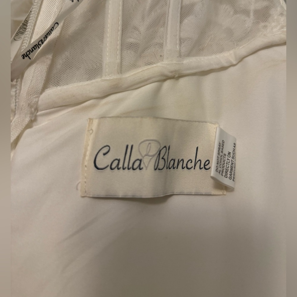 Calla Blanche wedding gown - Picture 15 of 17